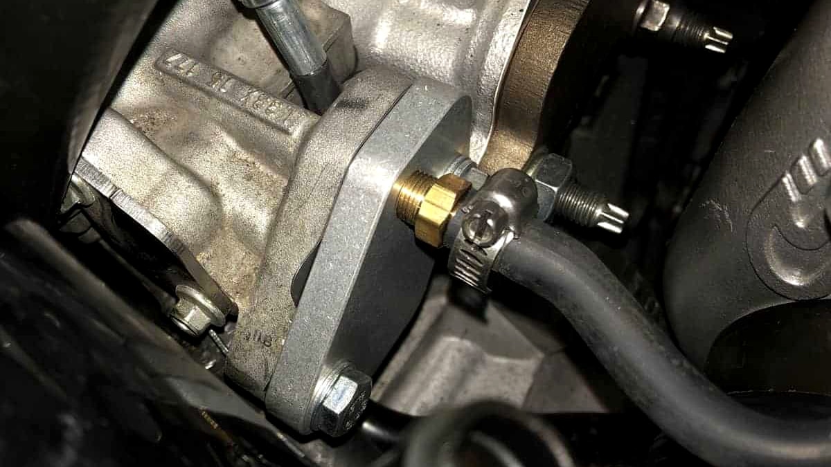 EGR1